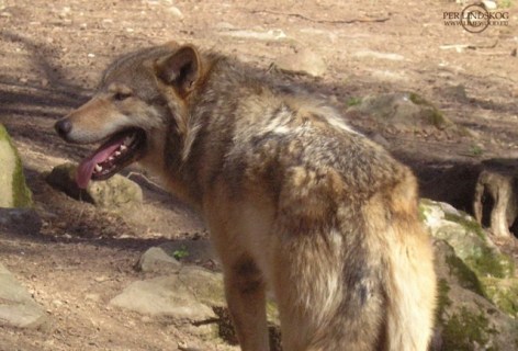 20070414-017 20070414-017